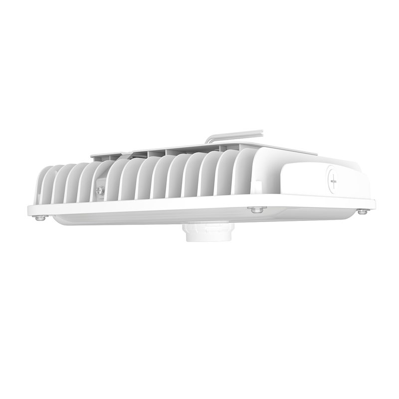 OR CANOPY 
