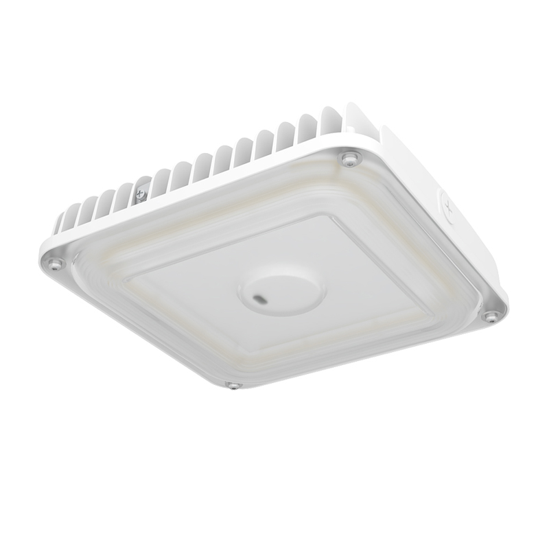 OR CANOPY 
